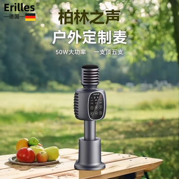 Erilles berlin voice microphone bluetooth audio integrated wireless microphone outdoor family ktv live broadcast home karaoke sound card gray deluxe edition charging base + storage bag + gift