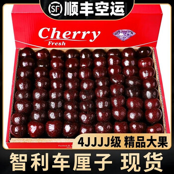 Dakou qiba spot chilean cherry cherry big cherry fresh store fresh fruit gift box gift pack imported 900g (net weight) exquisite gift box with box 2 jin extra large fruit 2j single fruit 28-30mm