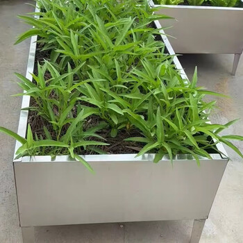 304 stainless steel planting box (bring your own tile floor) silver stainless steel length 60 width 60 depth 42 total height 57