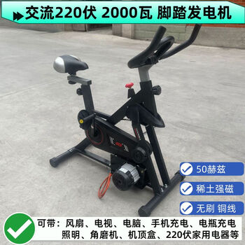 Beyzk 220v 2000w exercise bike pedal generator fitness 12v 48v60v72v permanent magnet ac charging 220v 2000w pedal generator ac