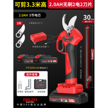 Delixi electric scissors fruit branch high-altitude pruning shears rechargeable telescopic pole pruning shears tree scissors gardening shears can cut 3.3 meters high 2.0ah brushless 2 electric 2 blades