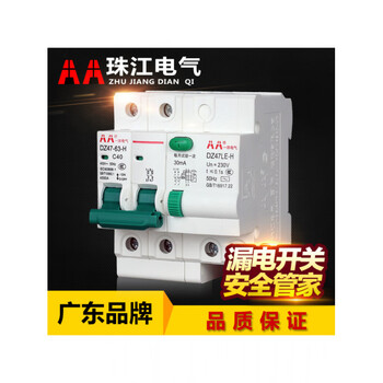 Zhujiang leakage switch leakage circuit breaker household leakage protector leakage circuit breaker leakage protector switch 2p 16a