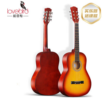 Lovebird guitar folk guitar 36-inch beginner novice instrument sunset color