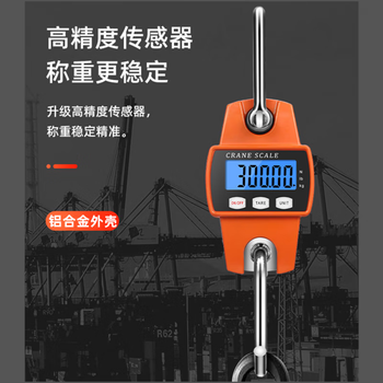 Lifting crane scale 300kg electronic scale industrial handicraft popular vehicle scale c02 hook scale aluminum battery model 300kg1g