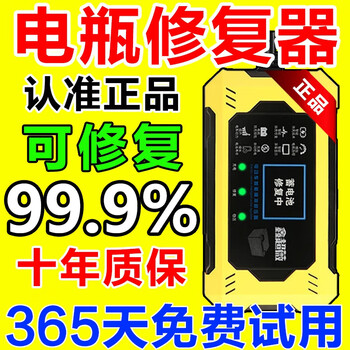 Electric vehicle battery repair charger fully automatic pulse repair genuine special battery repairer automatic power off 1 battery repairer imported chip