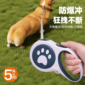 Dipur dog leash automatic retractable dog leash small and medium-sized dog walking puppy internet celebrity pet supplies - 5 meters leash - 5 meters