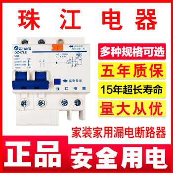 Zhujiang circuit breaker leakage protection switch household home decoration 220v electric shock protection main switch 20a32a40a63a 40a 1p+n