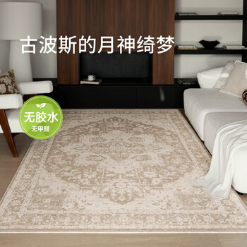 Saibos moon temple | glue-free carpet waterproof and antibacterial living room sofa light luxury high-end french cream style 2.4x3.5m