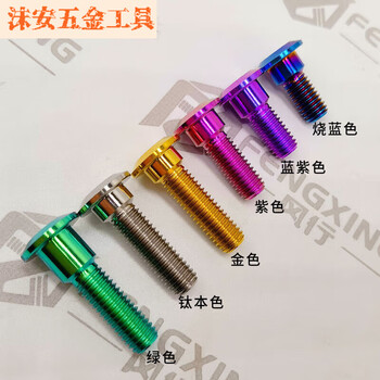 Fancychic popular titanium alloy disc brake hexagonal screw m8/22/25/30/35/40 motorcycle disc brake disc screw m8x40mm (1 piece) titanium color