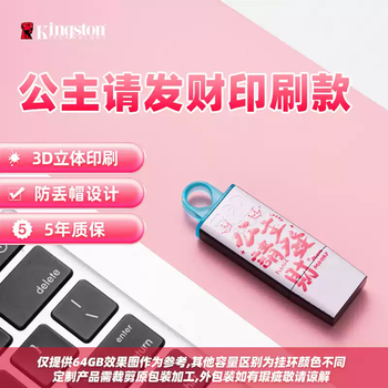 Kingston official genuine car disk large capacity girl disk mobile high-speed car mobile phone computer cost-effective model - princess please make a fortune package one 256gb