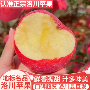 Luochuan apple shaanxi yan'an red fuji seasonal apple fruit gift box fresh fresh crisp sweet whole box delicious and fresh net weight 8.5 jin 70-75mm best crisp and sweet straight from origin