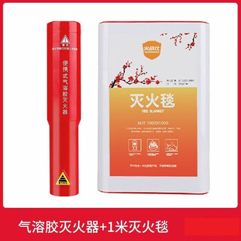 Fire extinguisher aerosol vehicle fire extinguisher vehicle household small portable fire equipment handheld dry powder emergency family package 1 fire extinguisher + fire blanket