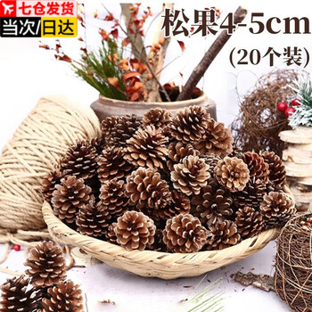 Shantou lincun pine cone handmade diy material package kindergarten huanchuang natural pine cone decoration christmas works dried flower ball pendant pine cone dried flower package 20 pieces 4-5cm