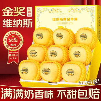 Uncle sam's shandong venus golden apples, next-day delivery to multiple locations, yellow apples, fresh fruits, new year's fruit gift box, 12a gold award scarce fruit king | single fruit 75-80mm, sweetest, 9 pounds, family enjoyment - most cost-effective, net 8.5 pounds