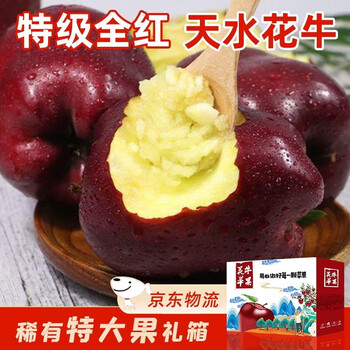 Tianliangji gansu tianshui huaniu apple jd/sf - next-day delivery to many places pink-faced snake-red fresh water for the elderly as a gift whole red fruit 9 jins in gift box fruit 75mm + net 8 jins selected whole red fruits丨delivered to your home