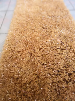 Yusenyi thickened elastic silk living room carpet bedroom full bedside modern room simple sofa coffee table long hair champagne 70 cm x 1.4 m thickened ready stock