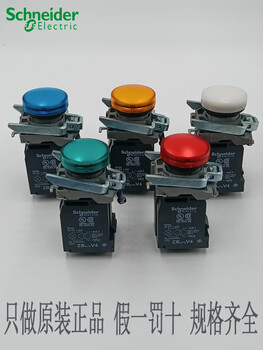 Schneider indicator light xb4bv41 xb4bv43 xb4bv44 xb4bv45 xb4bv46 xb5a xb4bv41 white 220-240v