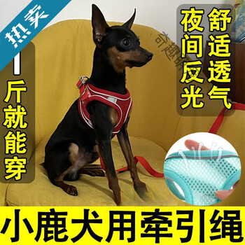 Special breathable traction rope for fawn dogs, vest-style dog walking rope, adjustable chest and back, complete collection of small puppy supplies, red no traction rope, xs7-9 catties, please see the details page for details