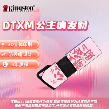 Kingston official genuine car disk large capacity girl disk mobile high-speed car mobile phone computer colorful personality - princess please get rich package one 256gb
