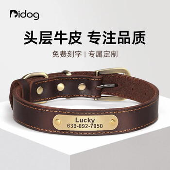 Didogpet genuine cowhide dog collar with engraved anti-lost collar for small and medium-sized dogs, teddy corgi out walking dog leash, dark brown, engraved xs, reference weight 5-9 pounds