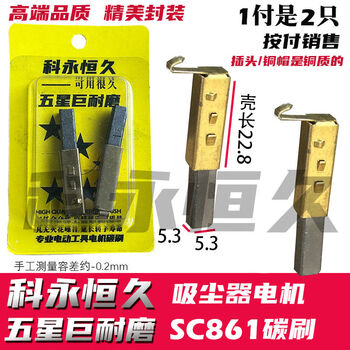 Beyzk vacuum cleaner motor sc861 carbon brush sa2801alhcxs22 carbon brush 53x53 with shell, a set of 10 for 20 pieces, the price is really cost-effective