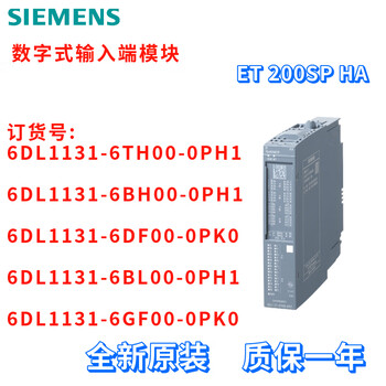 Siemens 6dl1131-6th00/6bh00/6df00/6bl00/6gf00-0ph1/0p 6dl1131-6gf00-0pk0