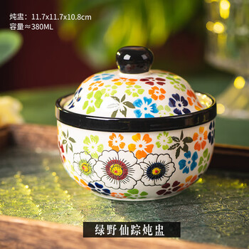 Onecci soup bowl ceramic household steaming bowl water-proof stew pot with lid small stew pot steamed egg custard special bowl high-looking underglaze wizard of oz stew pot