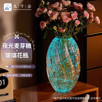 Jiuqiangu luminous maltose glass vase birthday gift simple light luxurious desktop decoration flower arrangement rose 1043