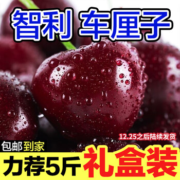 Luxi chile imported large cherries jd/sf express seasonal fruits seasonal fresh cherries gift 1.8 catties (net weight) with box 2 catties j grade 26-28mm