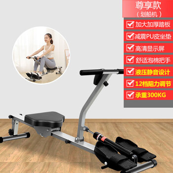 Liquid resistance painting rowing machine hydraulic water resistance and wind resistance simple painting rowing machine indoor home fitness equipment painting rowing 12-stop resistance adjustment-bold and thickened-ten years of fitness