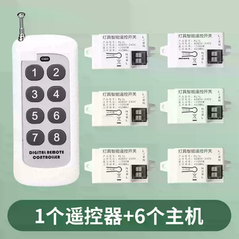Xmsj home wireless power smart remote control switch 220vle electric lamp ceiling lamp remote control device one to six six receivers with one remote control