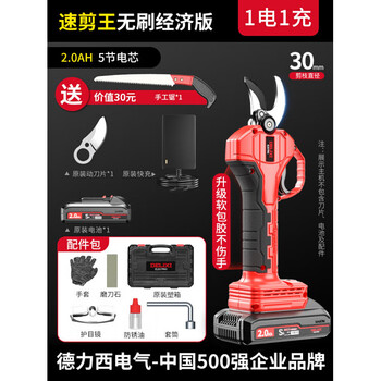 Delixi (delixi) electric tree shear artifact rechargeable powerful garden fruit tree pruning shear lithium battery shear tree speed shear king 2.0ah brushless economic version 1 electric 1 blade