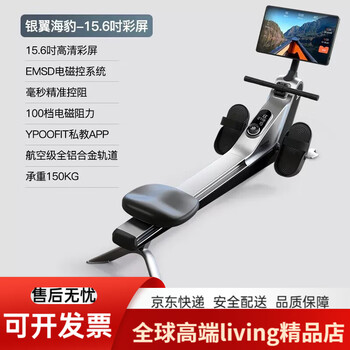Ypoo ypoo silver wing seal v5 rowing machine home smart magnetic resistance v5 rowing machine 15.6-inch color screen
