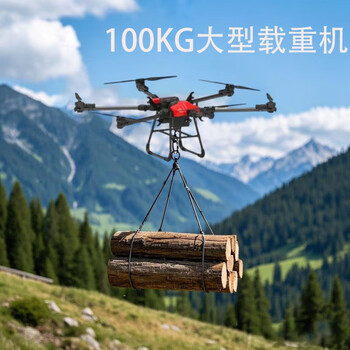 Gleaning rain saturn 100kg load-carrying crane industrial agricultural drone charger + four batteries + remote control + thrower