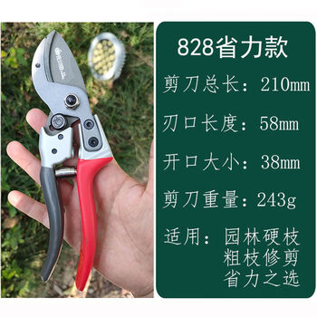 Tianchuan fruit tree pruning shears, fruit tree branch shears, gardening pruning shears, garden labor-saving pruning thick branch scissors, sakawada 828 labor-saving pruning shears