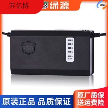 Electric vehicle battery charger 48v60v72v12ah20ah special original 6sc two-hole luyuan 48v40e-t three-hole