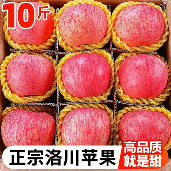 West shaanxi luochuan alpine red fuji apples 10 jins. seasonal fruits, fresh, crisp, sweet and juicy. full box picked from origin. 3 jins large fruit in box.