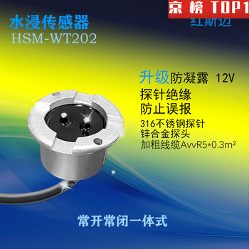 Delixi flood guard 2 flood alarm leak sensor wired water level detector switch upgraded anti-condensation 12v