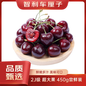 Fun to try chilean cherries, grade 2j, fruit diameter about 28-30mm, 450g package, fresh fruit
