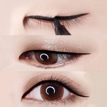 Carslan eyeliner waterproof, sweatproof, smudge-free, long-lasting, ultra-fine pen for novices, beginners, lower lashes, big eye makeup, long-lasting liquid eyeliner pen - black (soft bristle tip)