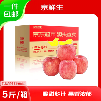 Jingxiansheng shandong yantai red fuji apple 5 catties single fruit 75-80mm fresh fruit direct from the source free shipping