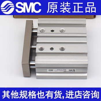 Smc original cylinder mgpl/mgpm25-20/30/40/50/75/100/125/150/175/ mgpm40-175z-m9bl