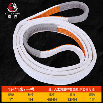 Pick up cat lifting belt lifting sling 123510 tons national standard industrial crane flat sling nylon cloth sling pickling 1 ton 1 meter - reinforced version
