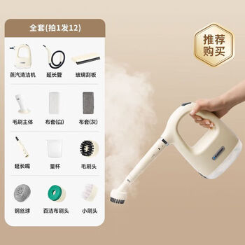 Blaupunkt steam cleaner household range hood cleaning multi-functional high temperature and high pressure steam machine full set version steam cleaning cleaning the whole family 12-piece set