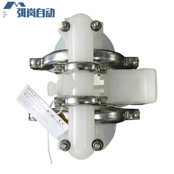 Wilden half-inch pneumatic diaphragm pump dn15 acid and alkali resistant white p1_ppppp_tnu_tf_ktv_acid and alkali resistant