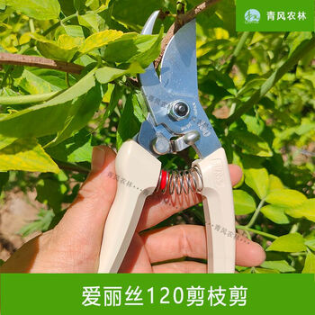 Alice imported 120dx130dx gardening scissors pruning shears fruit tree flower shears labor-saving pruning branch pruning alice 130dx