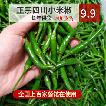 Fanibang sichuan small green pepper green millet pepper chaotian pepper extra spicy small sharp pepper green pepper pickled pepper green millet pepper fresh 50 pounds