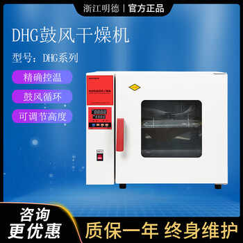 Zhejiang mingde dhg-9030a blast drying oven laboratory constant temperature drying oven precision constant temperature oven fuse