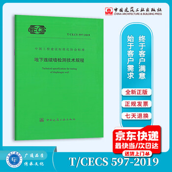 T/cecs 597-2019 technical regulations for inspection of underground diaphragm walls
