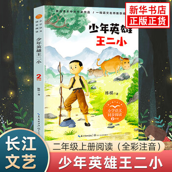 Young hero wang erxiao full color version chinese extracurricular reading book series for the second grade of elementary school chinese extracurricular reading books for the second grade of elementary school